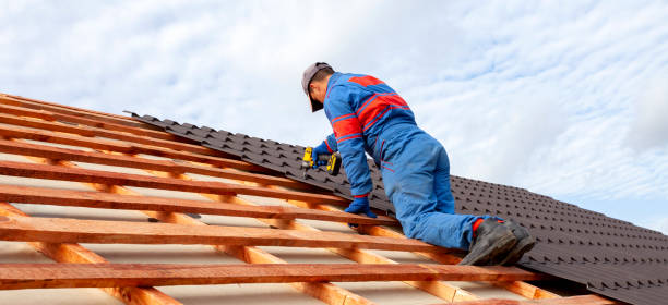 Best Roof Moss and Algae Removal  in The Hideout, PA